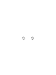 Puces d’oreilles du quotidien - argent