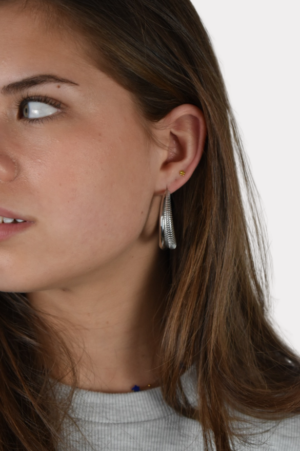 Centaur earrings - zilver