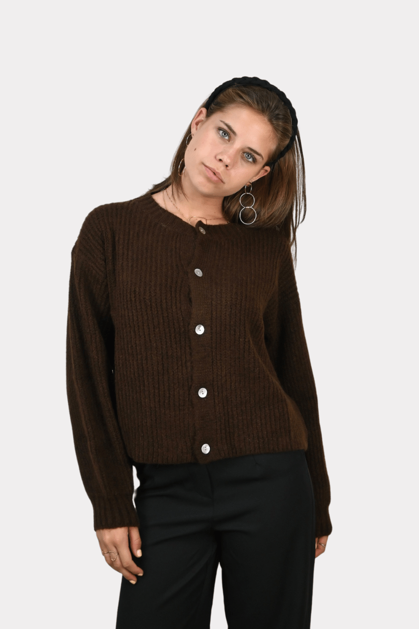 Brooklyn cardigan - bruin