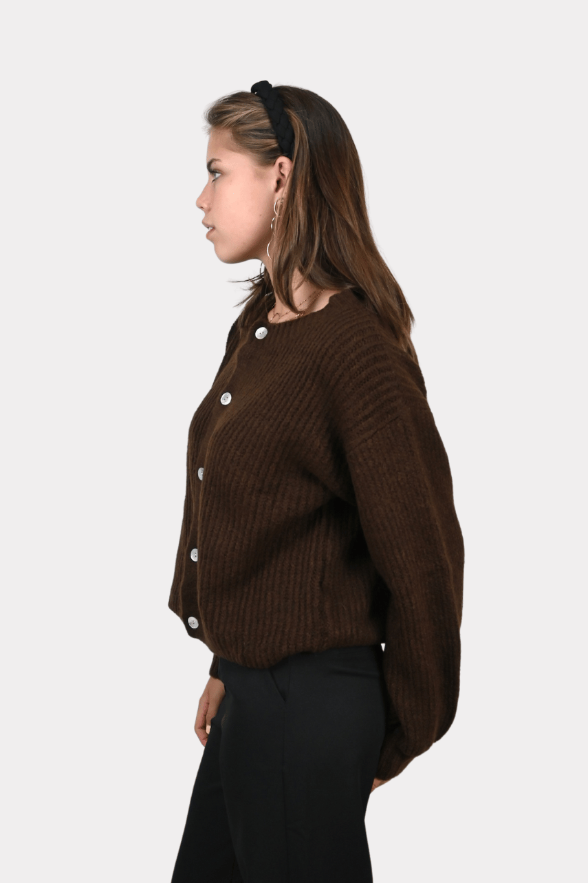 Brooklyn cardigan - bruin