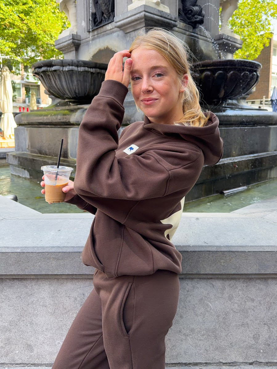 Tiger Star Lounge Hoodie - brown