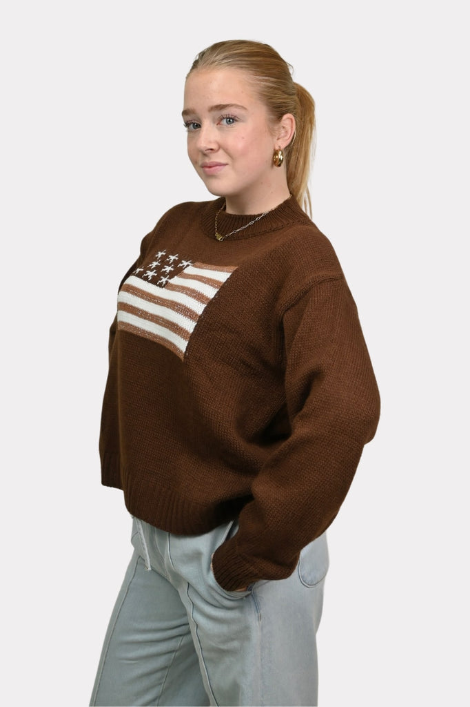 USA-sweater-glitter-brown-fashiontiger-4