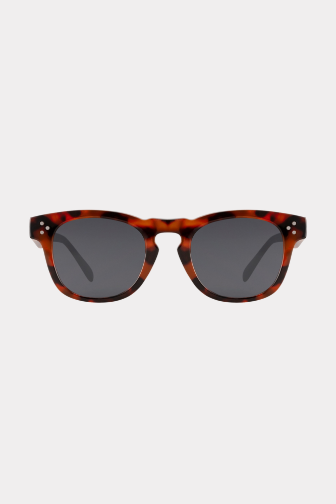 Urban_sunnies_brown_fashiontiger_3